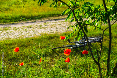 Bike on the roadside of a dirt road among poppies in the summer in Ukraine. photo