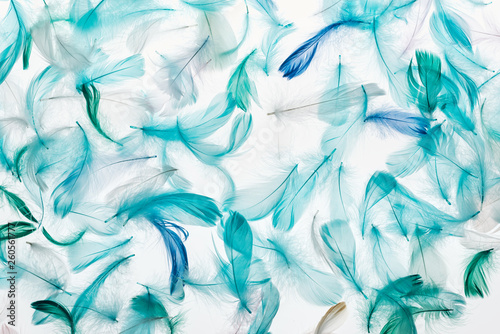 seamless background with multicolored green, grey and turquoise soft feathers isolated on white