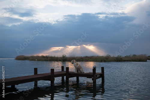 Sonnenuntergang am Naturpark Steinhuder Meer