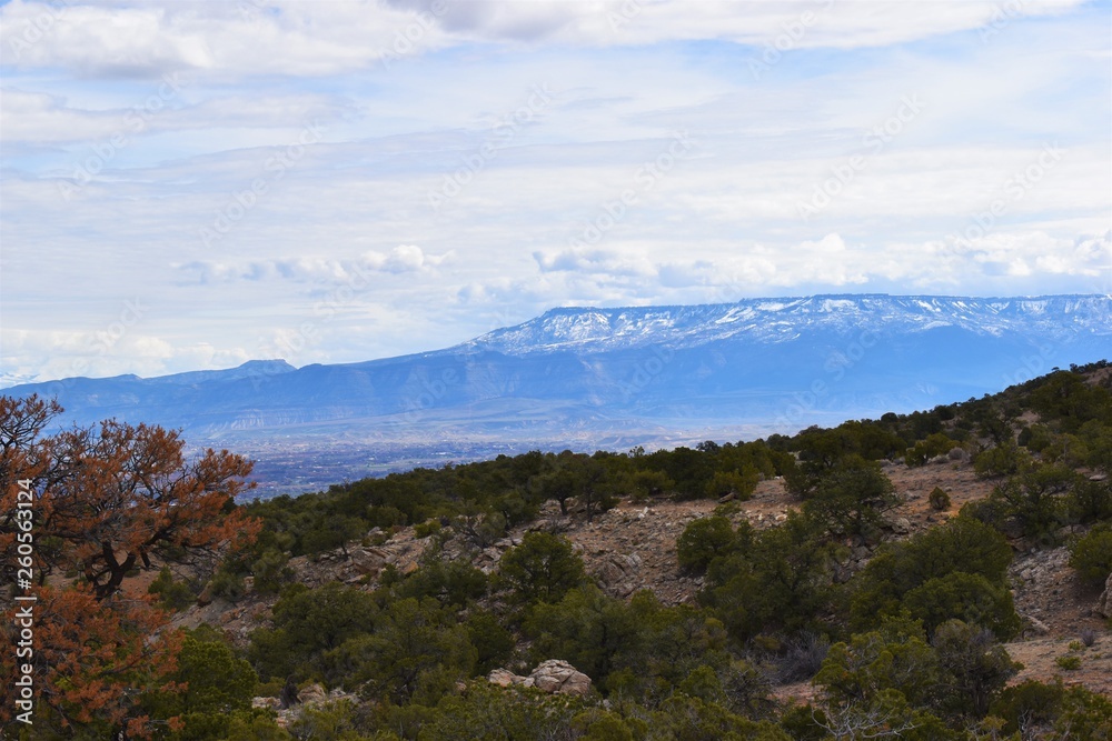 Desert Mountains