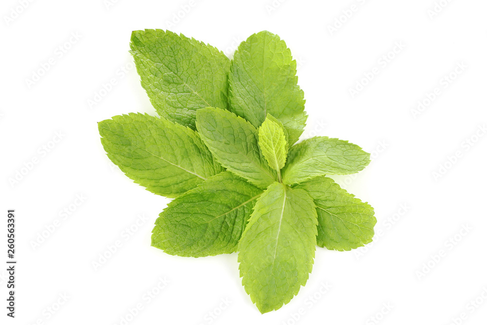Mint leafs isolated on white background Mint leafs isolated on white background