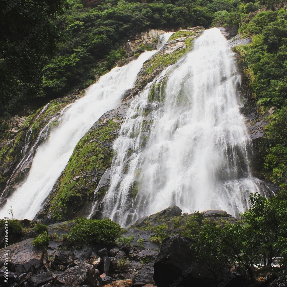 大川の滝