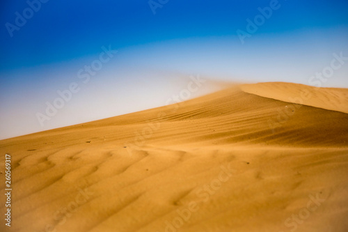 Windy desert