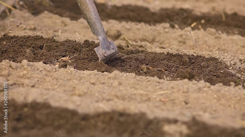 Wallpaper Mural a woman farmer works the land with a hoe Torontodigital.ca