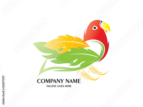 Abstract And Unique Lovebird vector design template. An exotic bird on white background 