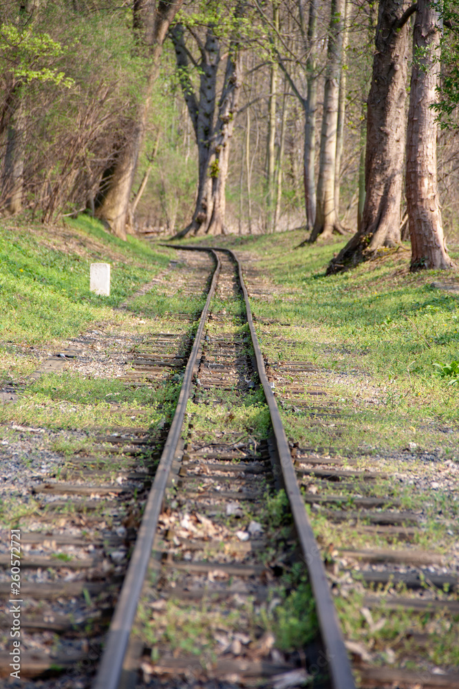 View of Railways of Miniature Park Railroad.at lake Auensee in Leipzig View of Railways of Miniature Park Railroad.at lake Auensee in Leipzig