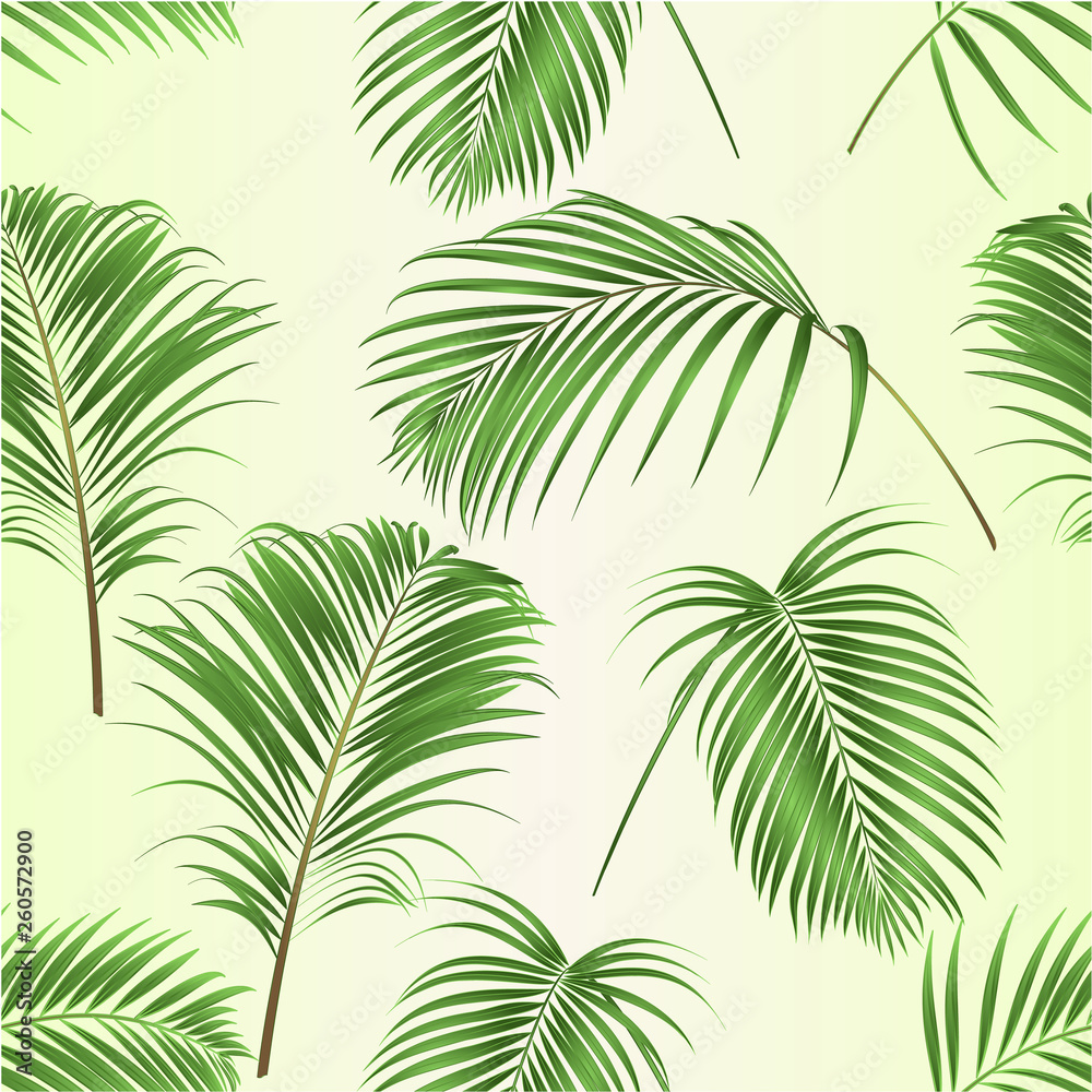 Seamless texture palm leaves  decoration tropical  plant   on a tropical background vintage vector illustration editable hand drawn