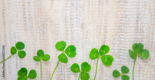 Clover leaf. Happy St. Patrick's Day. Selective focus. photo