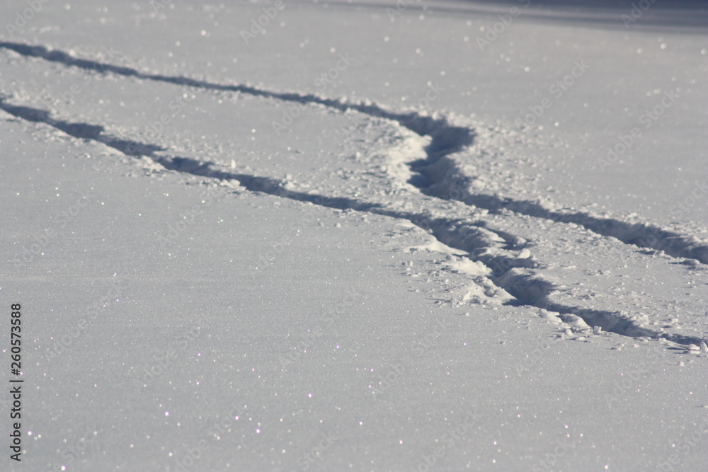 Spuren im Schnee Spuren im Schnee