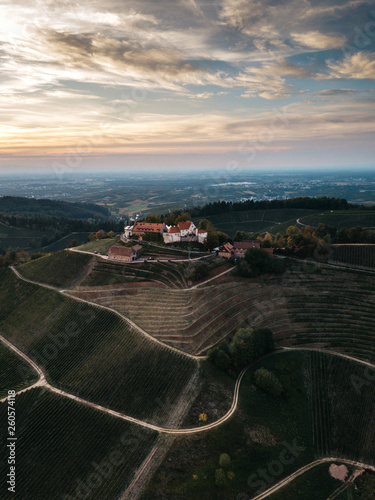 Vineyard,Durbach, Castle St...