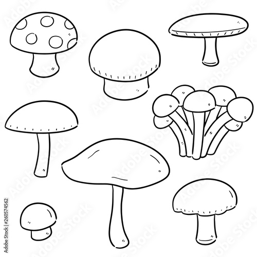 vector set of mushrooms