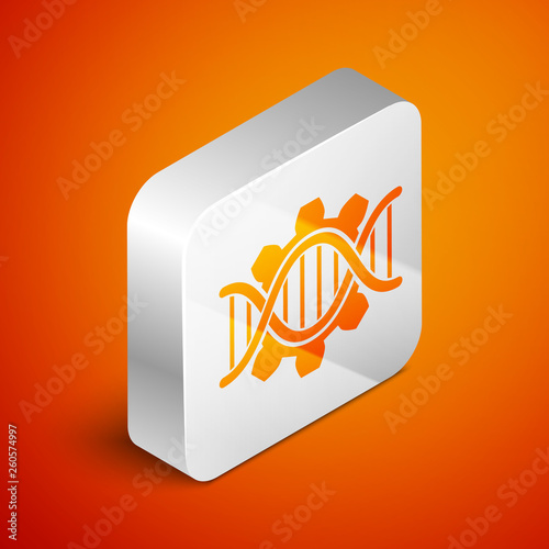 Isometric Genetic engineering icon isolated on orange background. DNA analysis, genetics testing, cloning, paternity testing. Silver square button. Vector Illustration