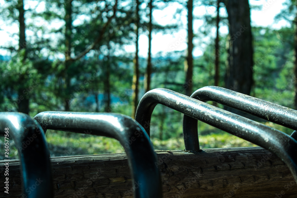 Bicycle paking in the forest