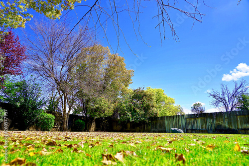 Refreshing in the backyard