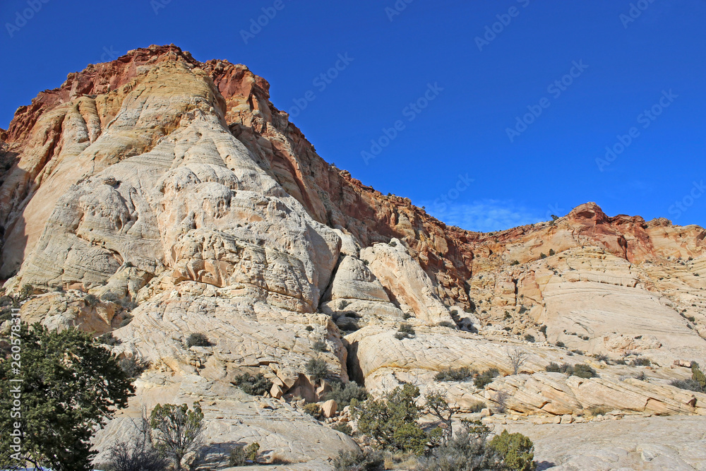 Fototapeta premium Gorge in Capitol Reef National Park in winter