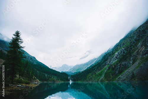 Ghostly forest near mountain lake in early morning. Mountain creek flows into lake. Ripple on smooth water surface. Low clouds. Dark calm atmospheric misty woodland landscape. Tranquil atmosphere. © Daniil