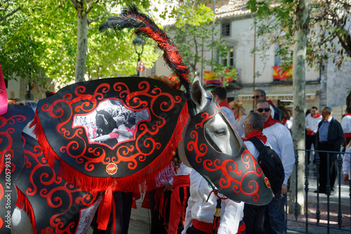 Caballos del vino , Caravaca de la Cruz