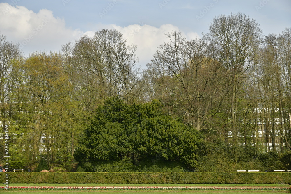 Le Jardin Français avec ses haies coniques près de la grande pièce d'eau supérieur au parc de Tervuren à l'est de Bruxelles Le Jardin Français avec ses haies coniques près de la grande pièce d'eau supérieur au parc de Tervuren à l'est de Bruxelles