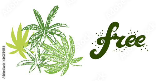 vector hand drawn sketchy illustration with differently stylized cannabis leaves and Free sign beside them.