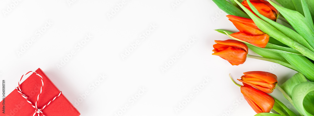 Red tulips flowers on white background Red tulips flowers on white background