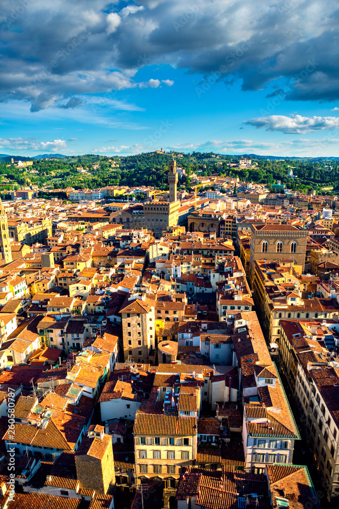 View on Florence city and the Cathedral