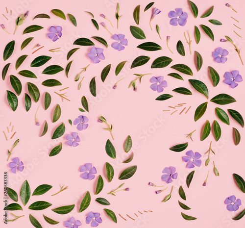 Fototapeta Naklejka Na Ścianę i Meble -  Violet flowers and green little leaves represented over pink background separately. Many little leaves for decorating any post card or celebration card. Flat lay, top view, copy space