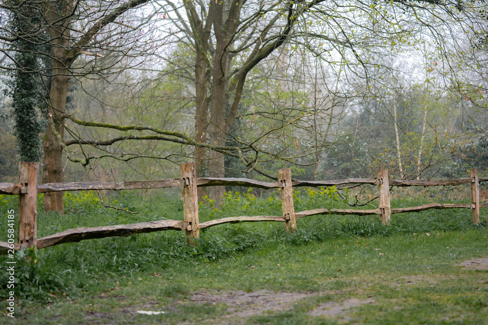 old wooden fence in the park