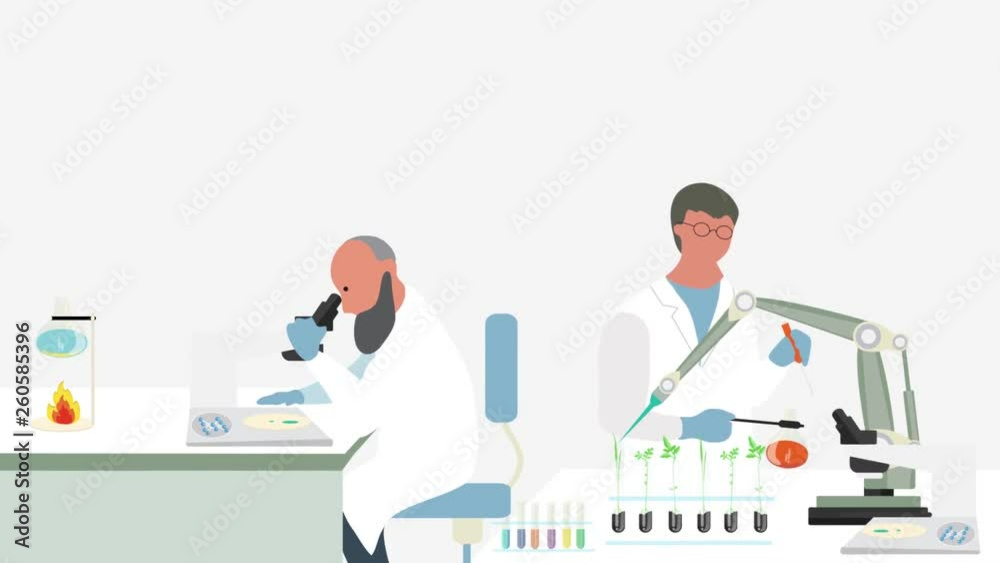 Microbiologist studying new virus and cultivating a petri dish whit