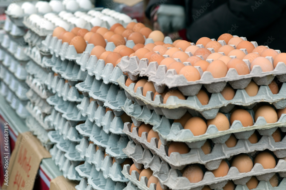 layers of eggs in the market