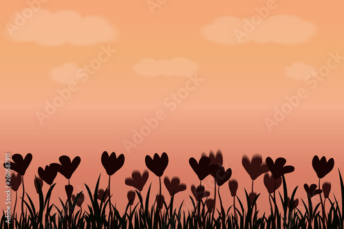 Landscape of sunset and flower silhouette.