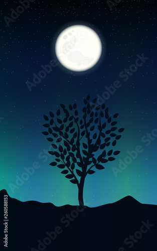 Night landscape with starry sky and full moon on a background of silhouettes tree