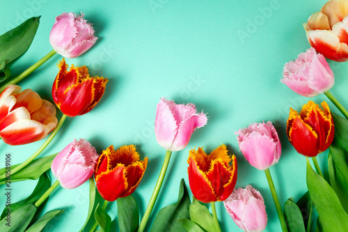 Bouquet of tulips flowers on color festive background. Spring flowers on floral card flat lay. Greeting card  holidays concept. Copy space  top view