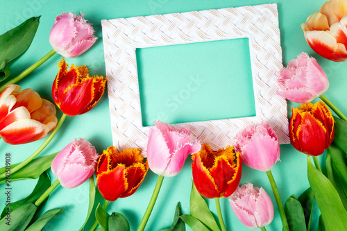 Fototapeta Naklejka Na Ścianę i Meble -  Bouquet of tulips flowers and frame on color festive background. Spring flowers on floral card flat lay. Greeting card, holidays concept. Top view