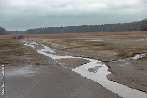Fototapeta natura
