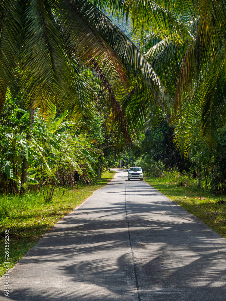 The beautiful roads of Koh Phangan go into the distance. Thailand The beautiful roads of Koh Phangan go into the distance. Thailand