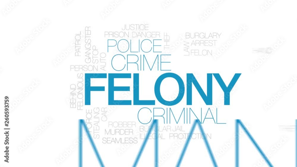 Felony animated word cloud. Kinetic typography.
