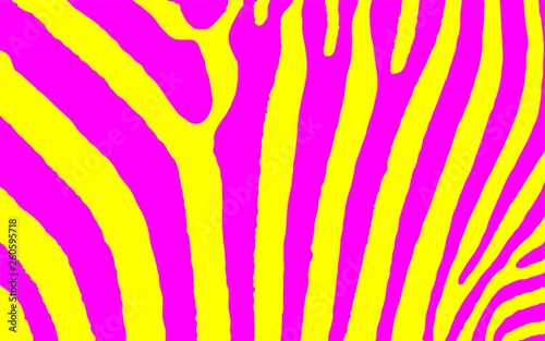 Zebra Animal Print Colored