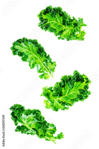 Fresh kale Bunch on a white background