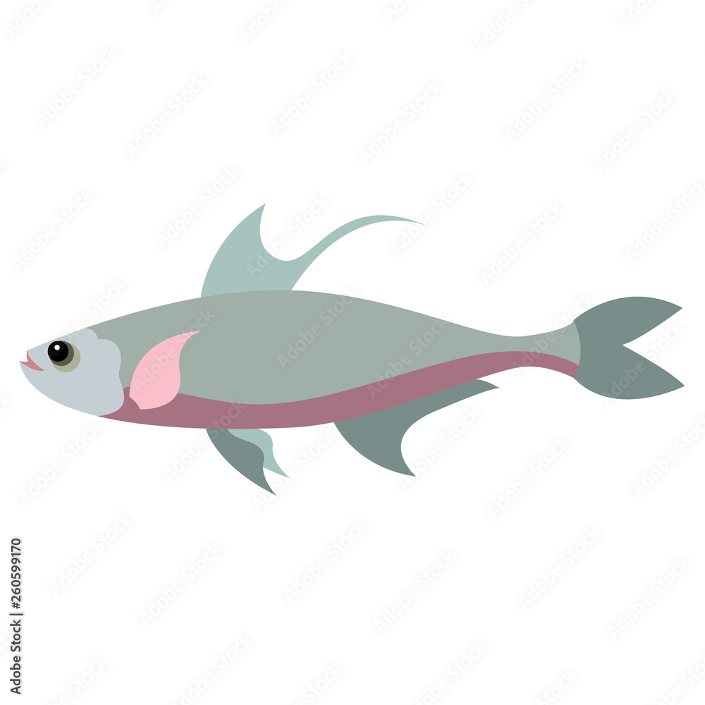 Obraz premium Grey fish flat illustration