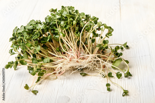 Young sprout microgreen isolated with shadow on white background. Clipping path. - Image. radish