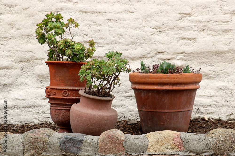 Three terracotta pots hold succulent plants Three terracotta pots hold succulent plants