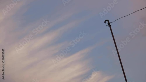 View of amazing blue sky and moving slowly white clouds from ground in the daytime