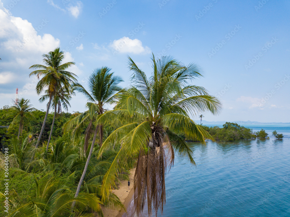 Aeria top view to small beach with palms and yellow sand on the Koh Chang island, Thailand