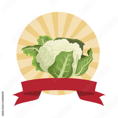 cauliflower icon cartoon round icon