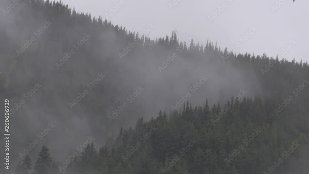 Close Up: Pointy-Topped, Forest Covered Hills with Thin Fog Quickly Passing in Bella Coola, British Columbia