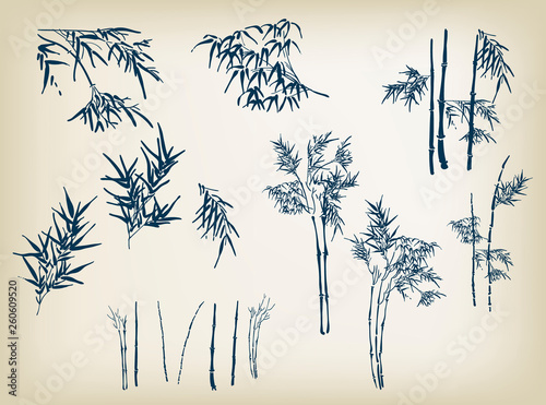 bamboo vector design elements hand drawn oriental