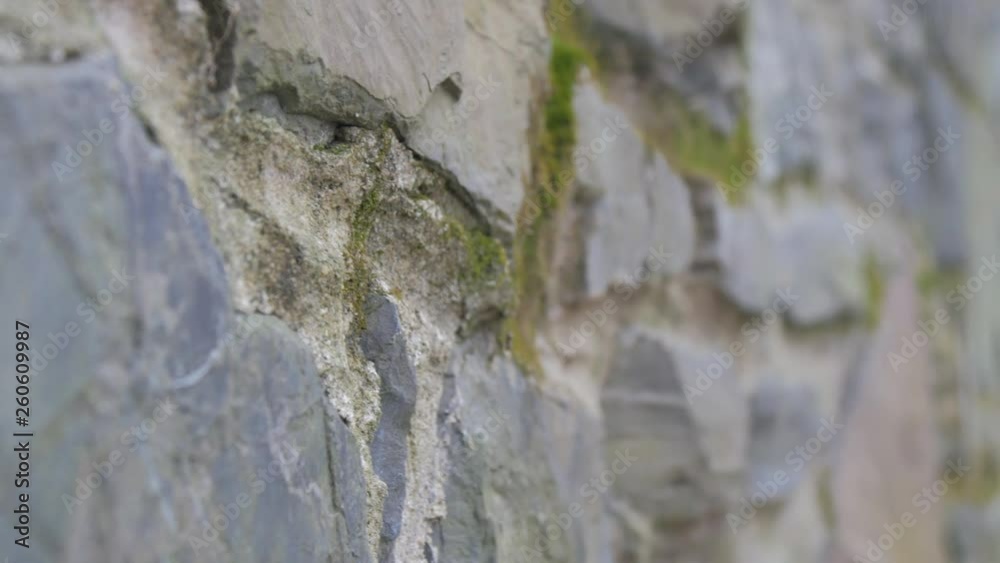 Rack focus macro large stone wall moss.mov