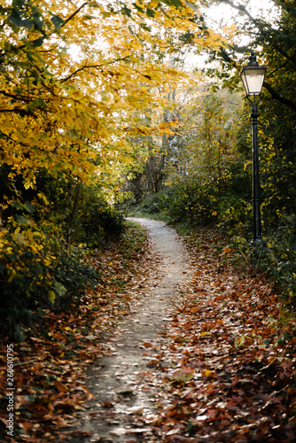 Autumn Path  Narnia