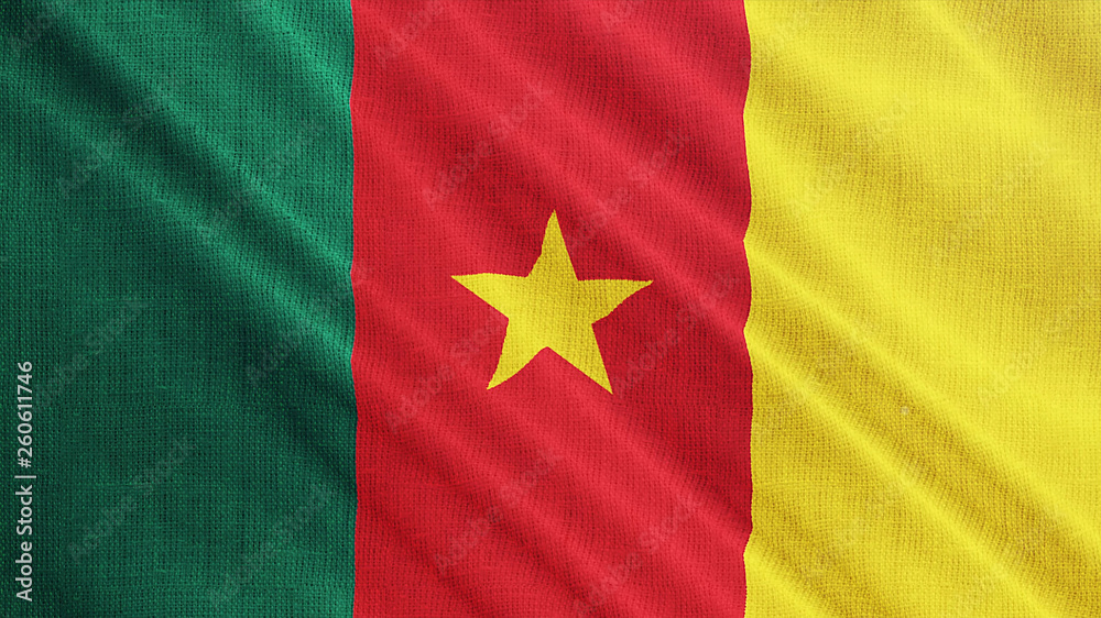 Cameroon flag is waving 3D illustration. Cameroon national on fabric cloth 3D rendering in full perspective. Cameroon flag is waving 3D illustration. Cameroon national on fabric cloth 3D rendering in full perspective.