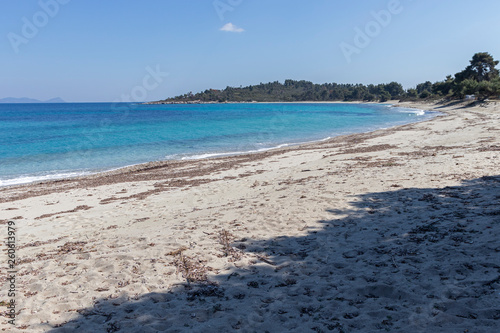 Amazing view of Xenia Golden Beach at Kassandra Peninsula  Chalkidiki  Central Macedonia  Greece